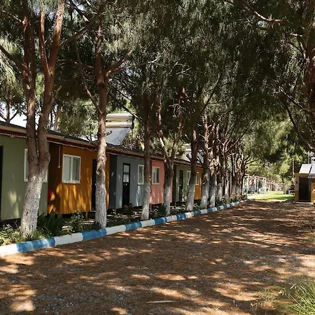 Tamam.camp